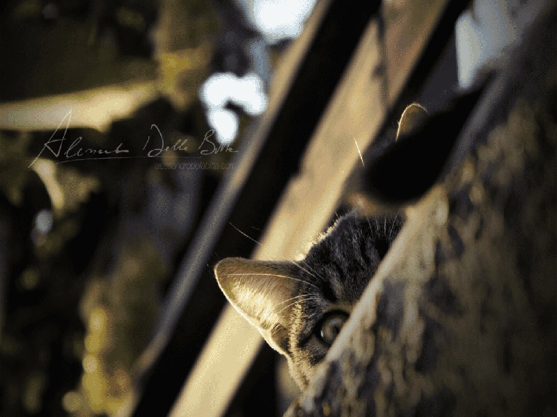 张女士成功案例