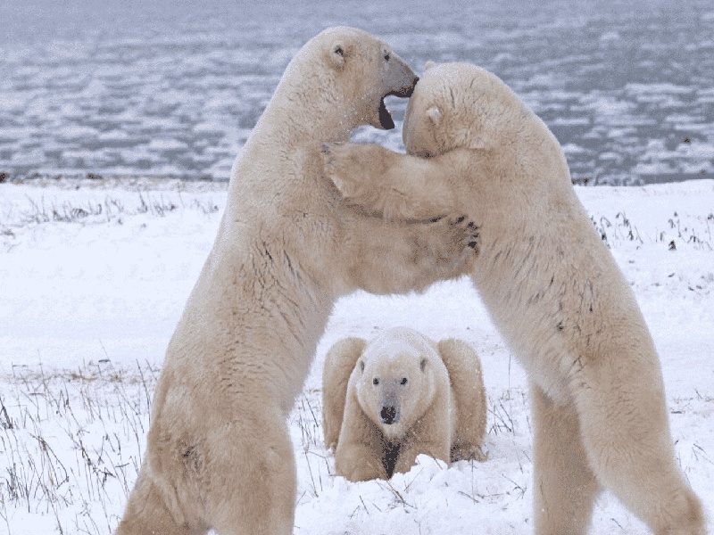 王女士成功案例